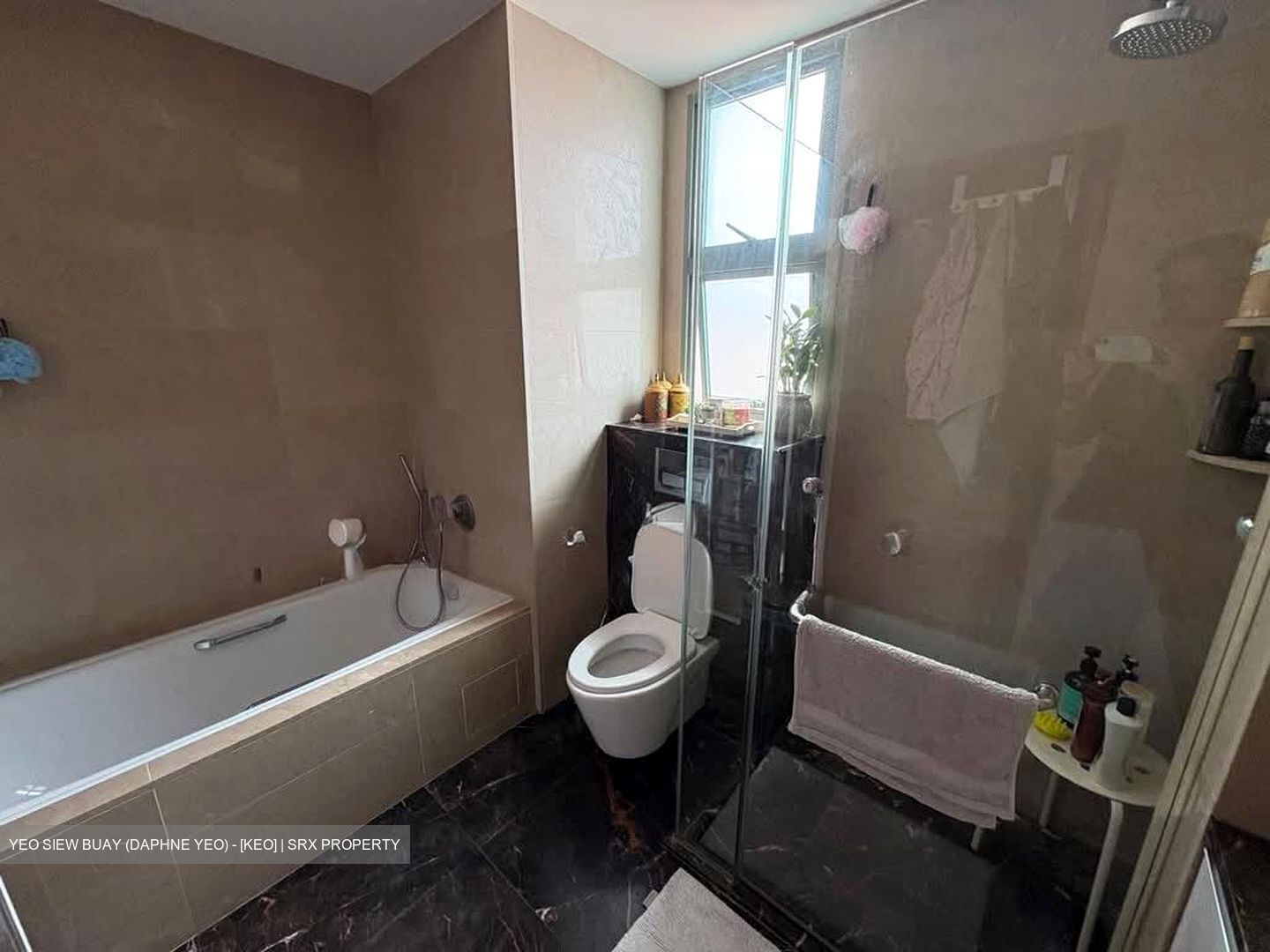 Aspen Heights (D9), Condominium #599155901
